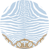 SPIRIT OF STRIPES