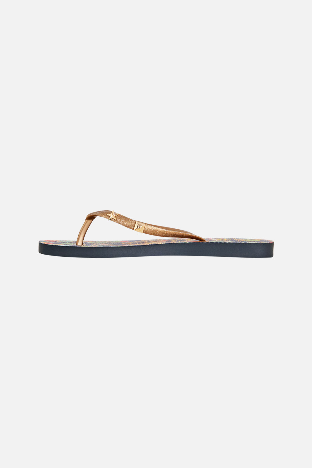 THONGS PALACE ZOOLOGY
