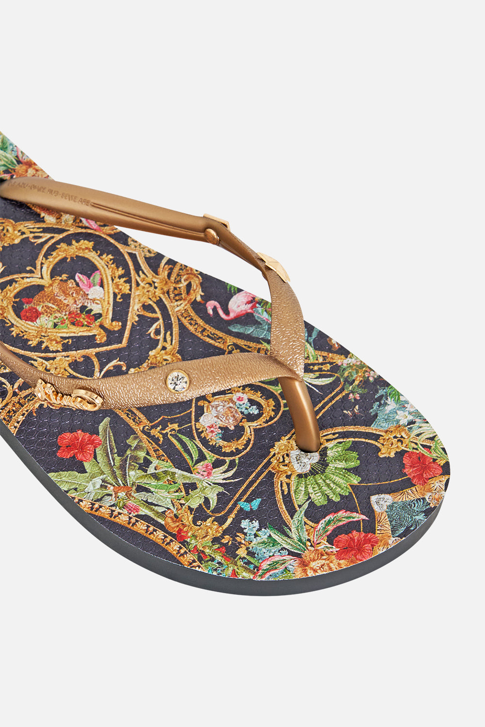 THONGS PALACE ZOOLOGY