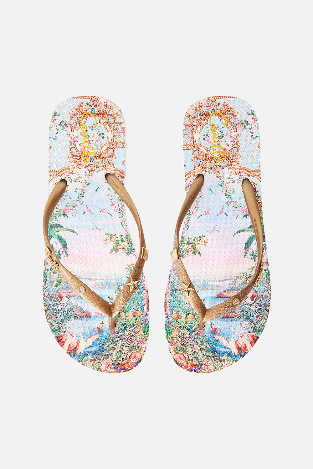 THONGS SISI SOCIETY