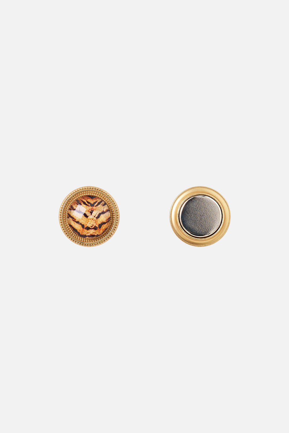 GOLD CLOTHING MAGNETS CASE OF CURIOSITIES